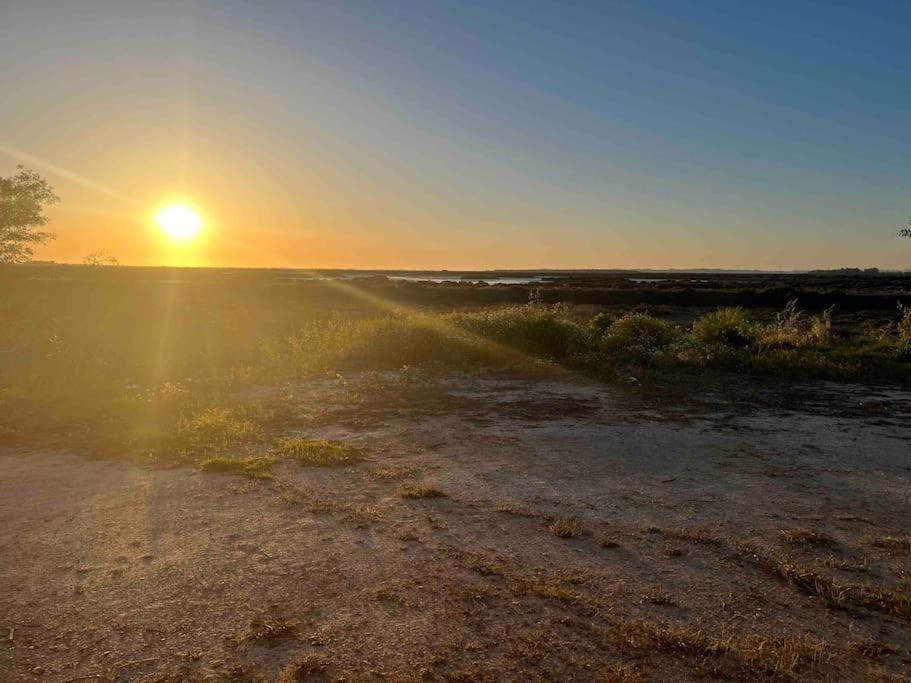 Chalet A 2 Kilometros De La Playa Chiclana de la Frontera Eksteriør billede